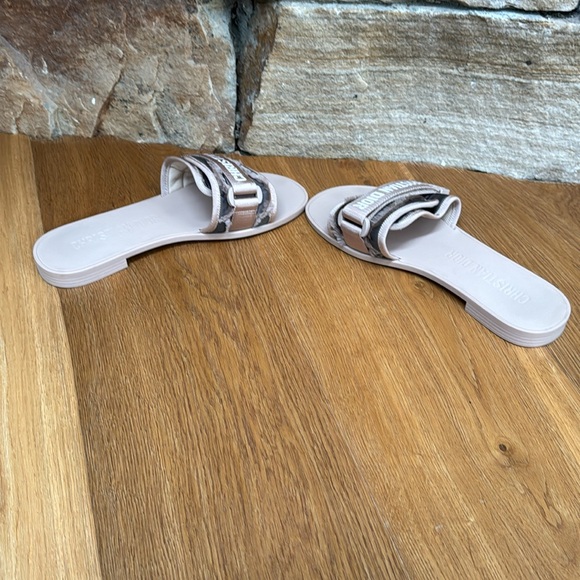 DIOR slides - Picture 8 of 13